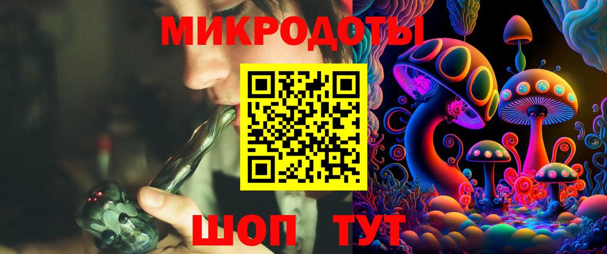 Лыткарино  Псилоцибиновые грибы Psilocybine cubensis  Вход с VPN 